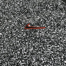 Camisa Corinthians Pré-Jogo 2024